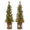 4 ft. Lehigh Valley Pine Entrance Trees with Clear Lights, Set of Two